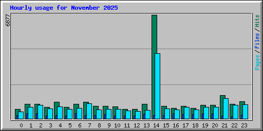 Hourly usage for November 2025