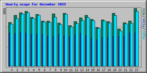 Hourly usage for December 2025
