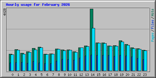 Hourly usage for February 2026